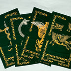 Scholars of Magic Bundle