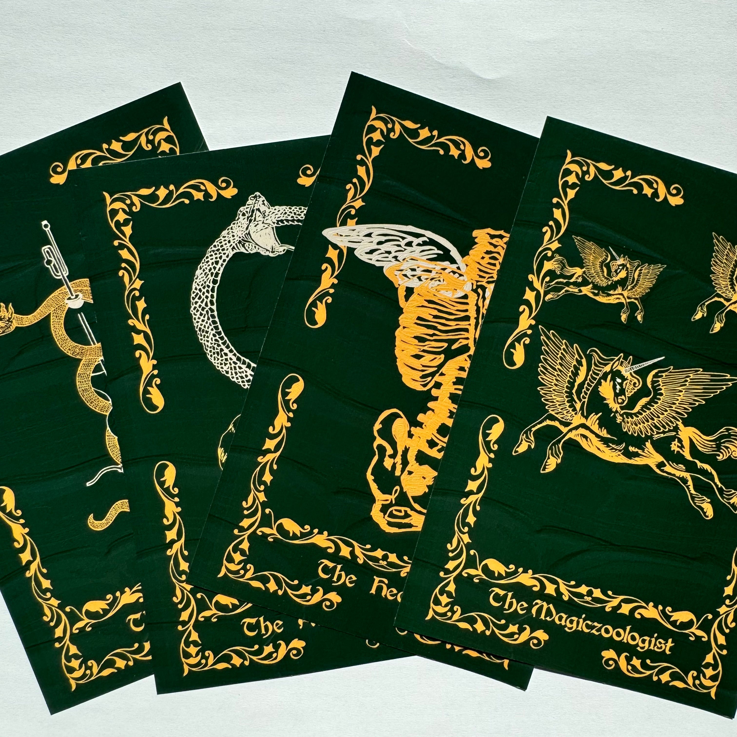 Scholars of Magic Bundle