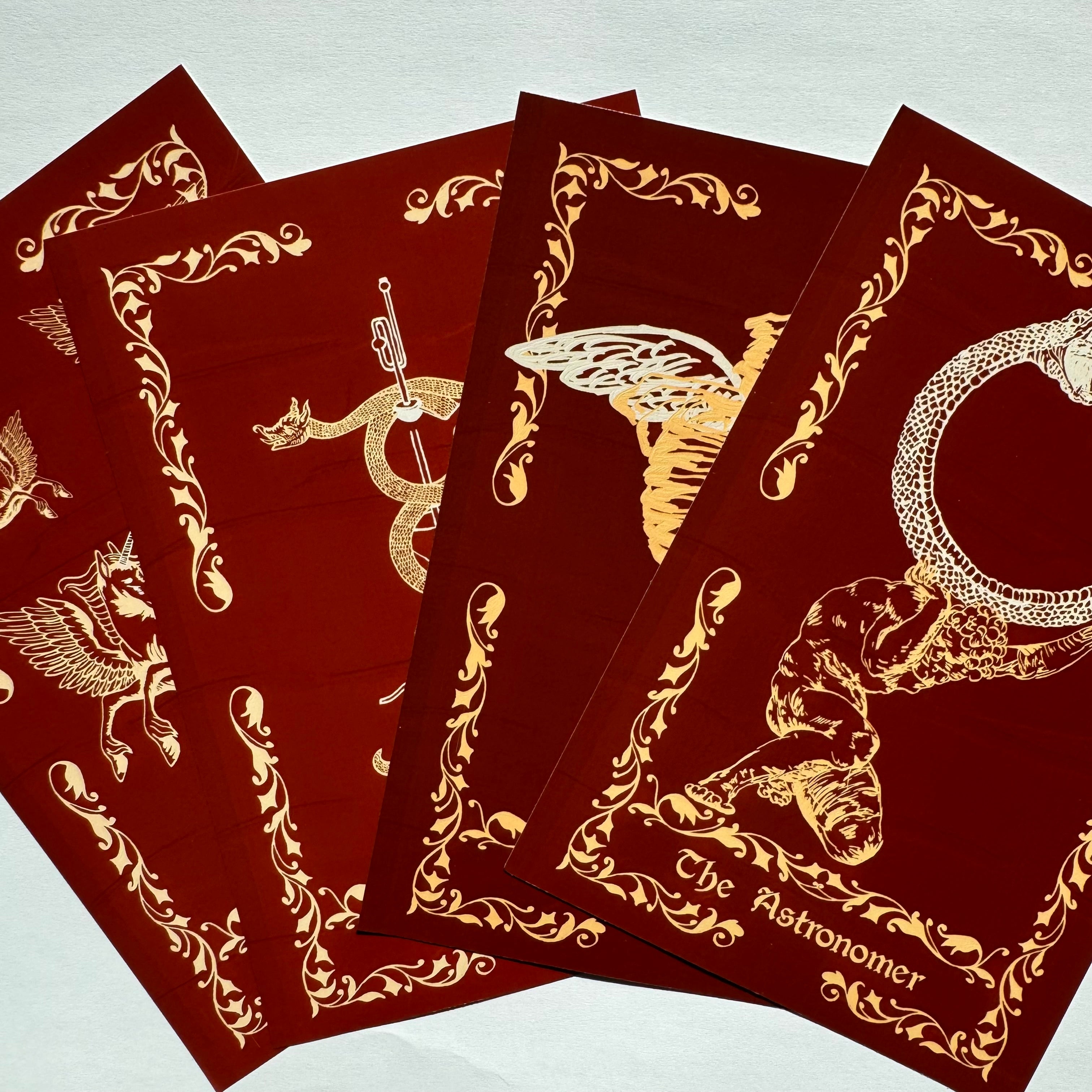 Scholars of Magic Bundle