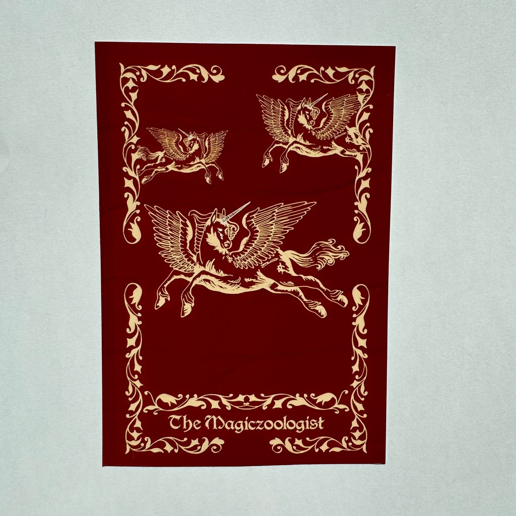 Scholars of Magic Bundle