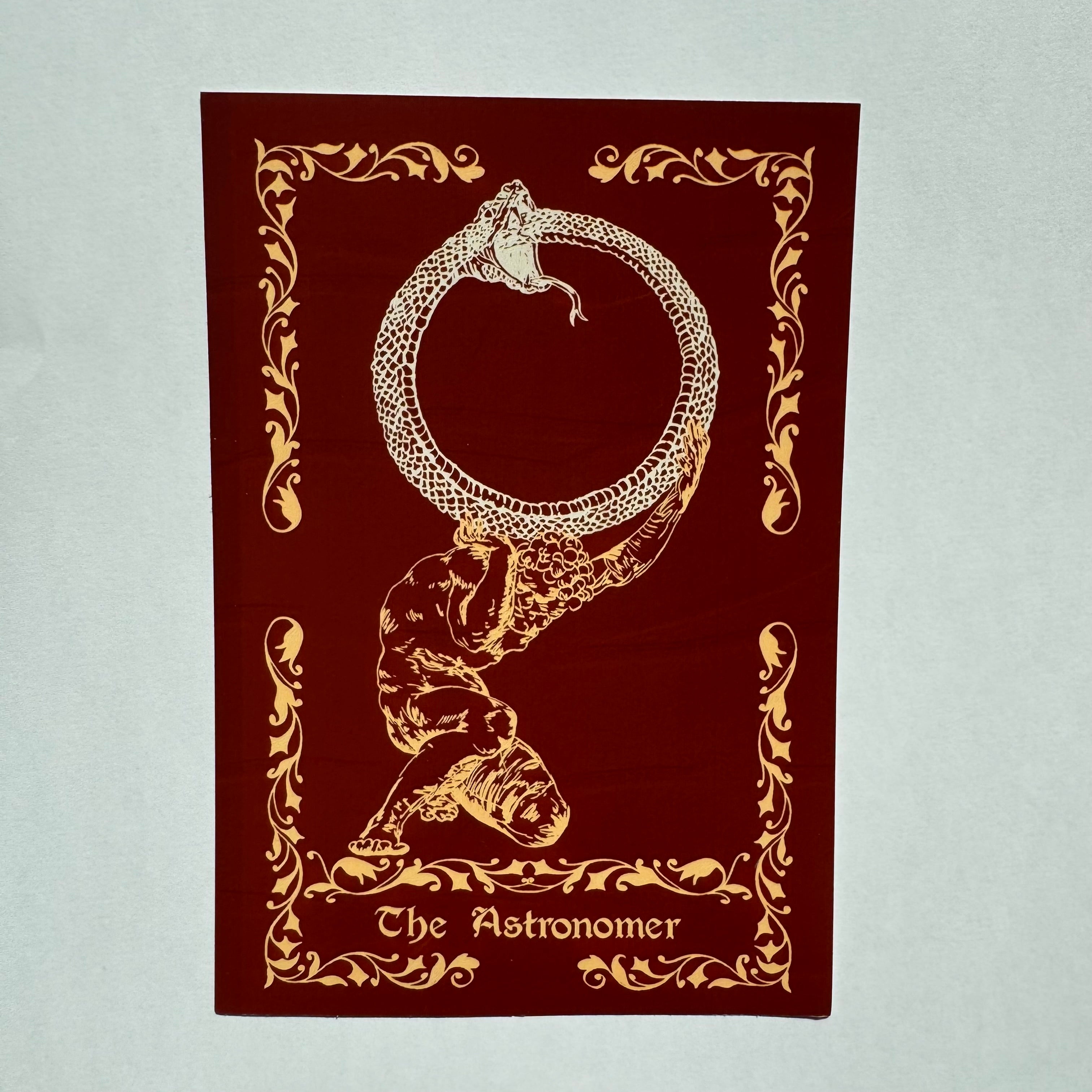 Scholars of Magic Bundle