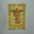 Scholars of Magic Bundle