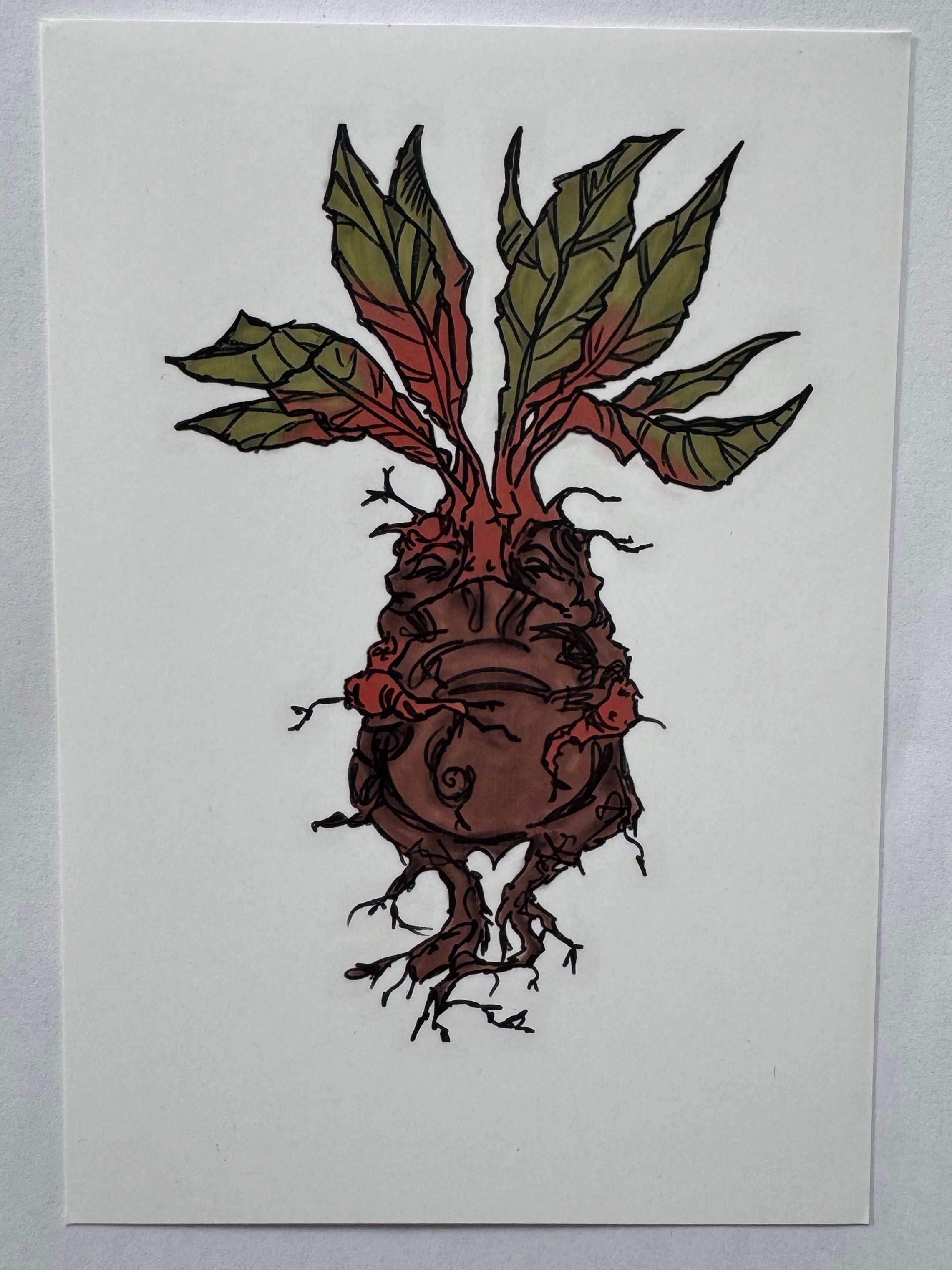 Mandrake Print